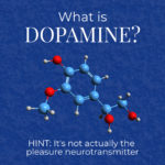 What is Dopamine? HINT: It's not actually the pleasure neurotransmitter