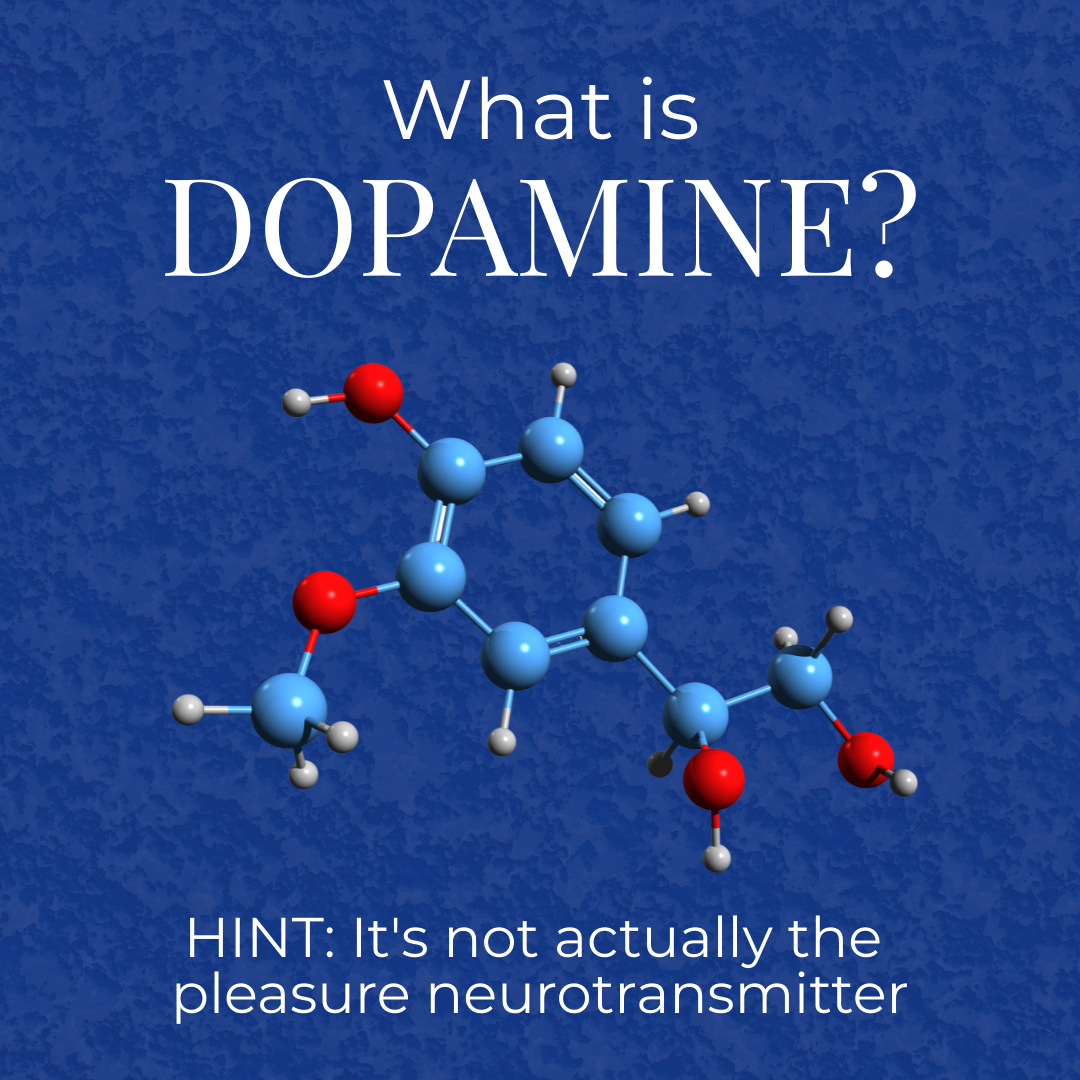 What Is Dopamine Hint Its Not Actually The Pleasure Neurotransmitter