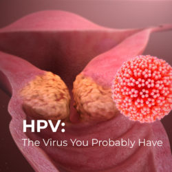 HPV_ The Virus You Probably Have